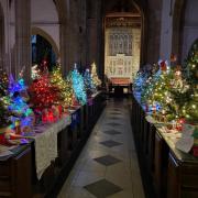 The Ilminster Christmas Tree Festival started on Monday (November 27)