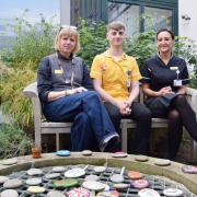 Staff at the garden at Yeovil's Hospital