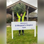 The hospice will collect Christmas trees across Somerset