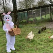 The Easter Bunny will be in attendance at the fayre.