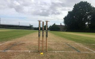 Stumps at Ilton Cricket Club (Archive image for illustrative purposes only)