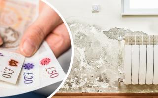 Here's what rising damp is, how much it will cost you to fix and how to prevent it in the first place.