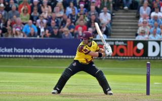 INTERNATIONAL: Corey Anderson in action for Somerset last season. Pic: SCCC