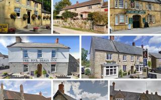 CHEERS: 12 pubs in and around Chard and Ilminster made it into CAMRA's Good Beer Guide. Pictures: Tripadvisor/Google Street View