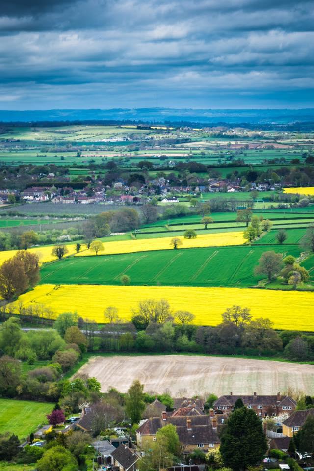 SOMERSET SCENE: A view from St Michael’s Hill, Montacute, by Cally Stephens. PUBLISHED: April 19, 2017