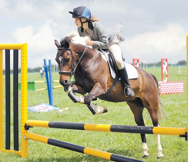 UMPING: Action from the recent Tytherleigh Horse and Pony Show.